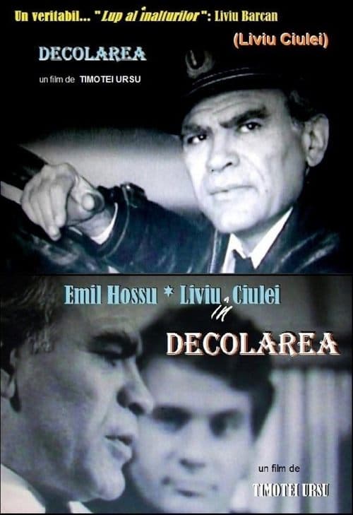 Decolareaのポスター