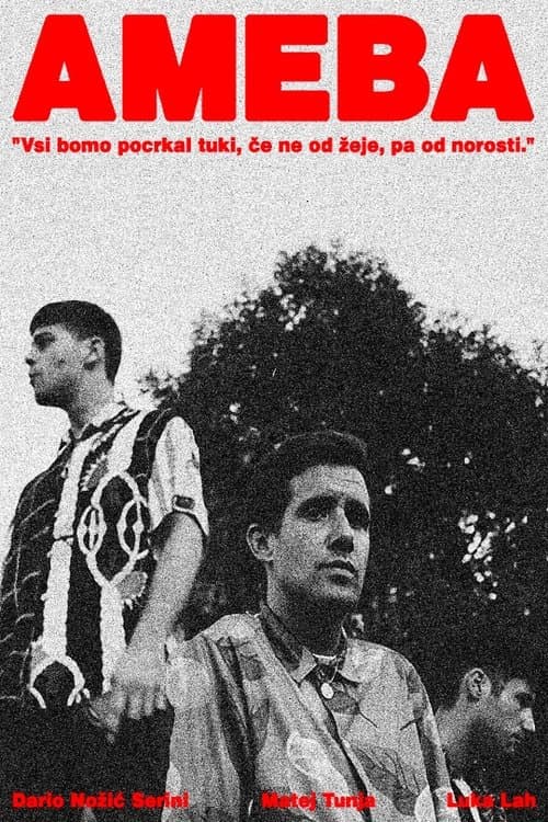 Amebaのポスター