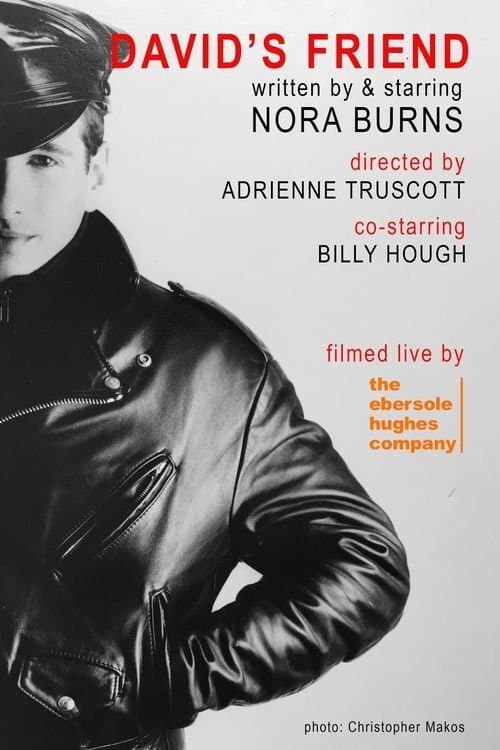 David's Friendのポスター