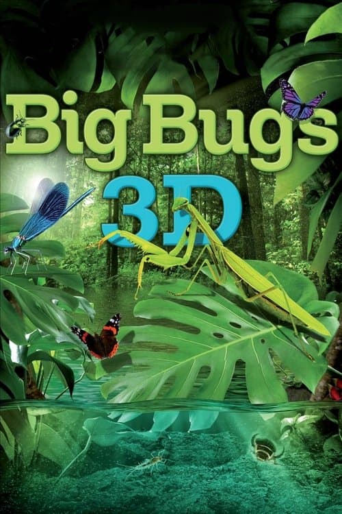 Big Bugsのポスター