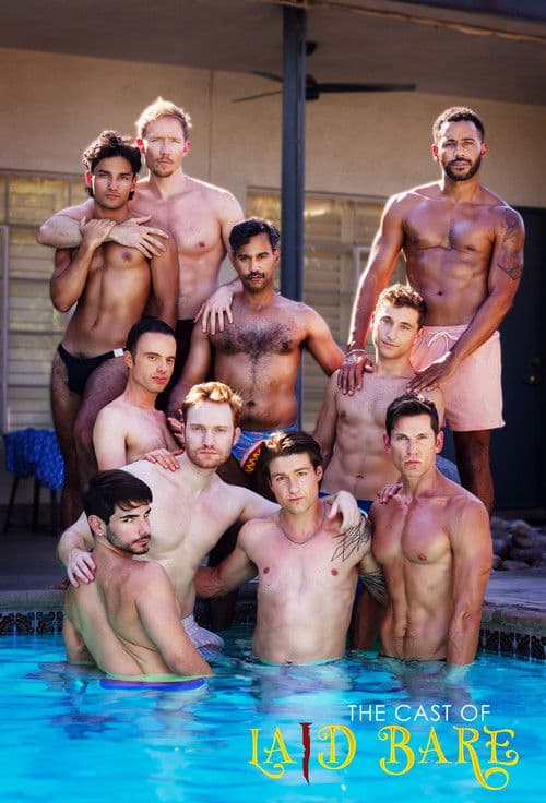 Laid Bareのポスター