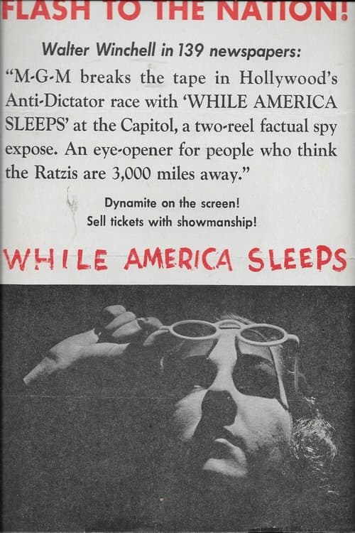 While America Sleepsのポスター
