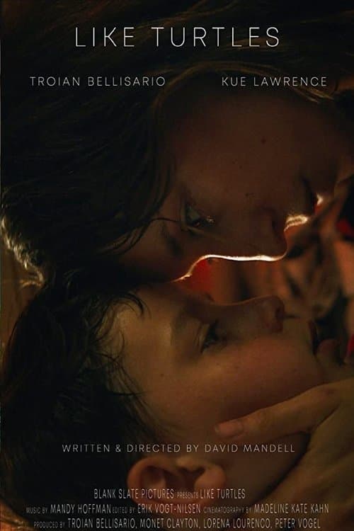 Like Turtlesのポスター