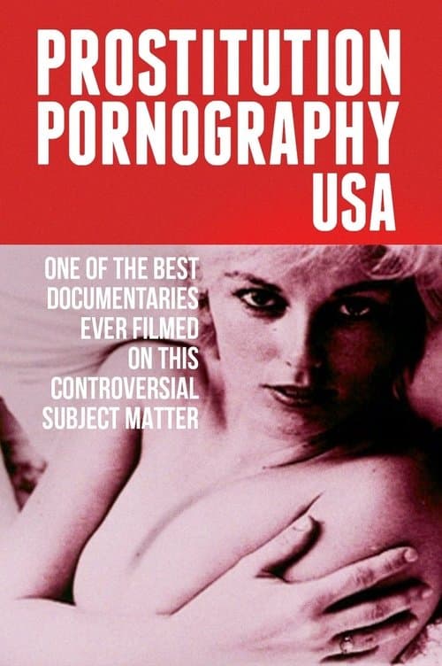 Prostitution Pornography USAのポスター