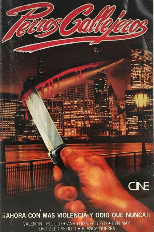 Perro callejeroのポスター