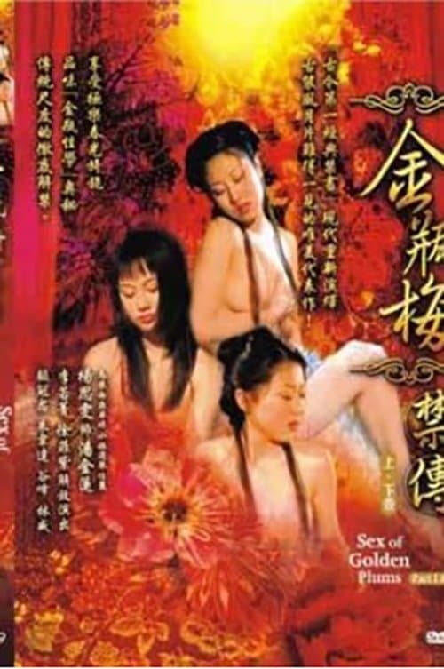 金瓶梅禁传 上卷のポスター