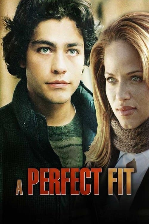 A Perfect Fitのポスター