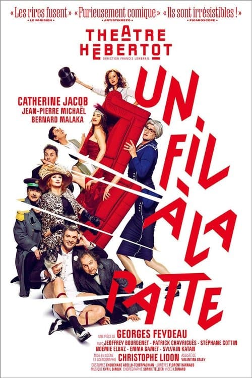 Un fil à la patteのポスター