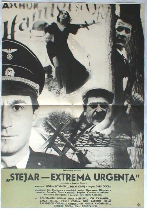 Stejar, extremă urgențăのポスター