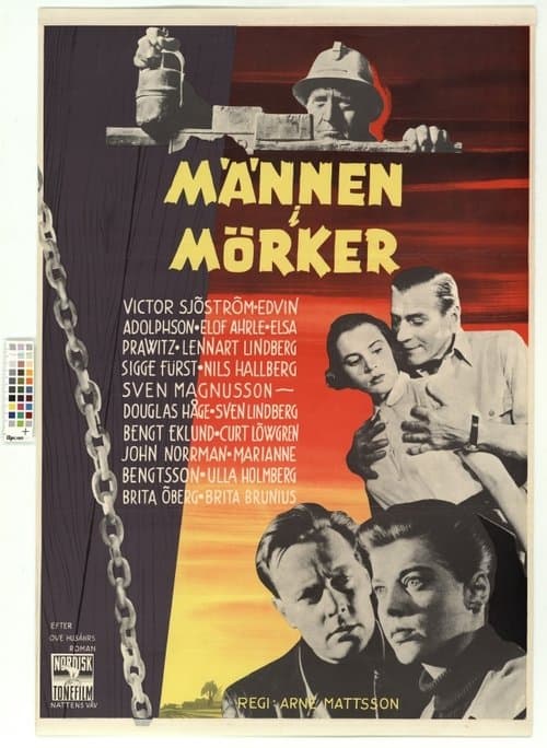 Männen i mörkerのポスター