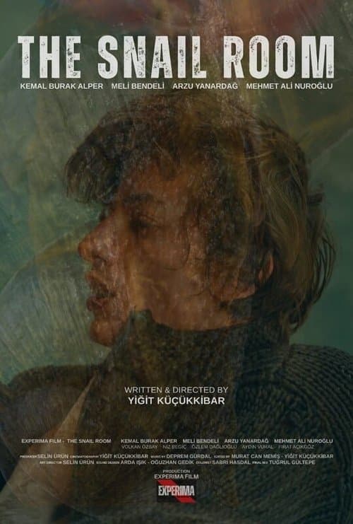 Salyangoz Odasiのポスター