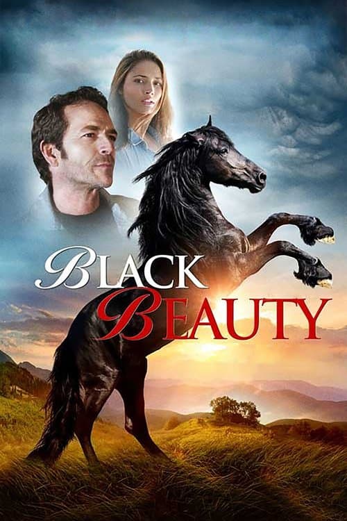 Black Beautyのポスター