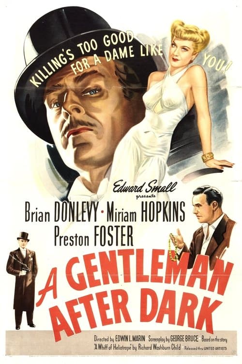 A Gentleman After Darkのポスター