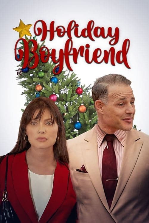 Holiday Boyfriendのポスター