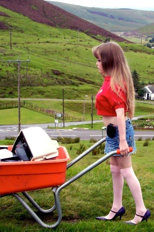 Little Red Hoodieのポスター