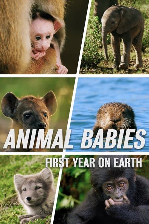 Animal Babies: First Year On Earthのポスター