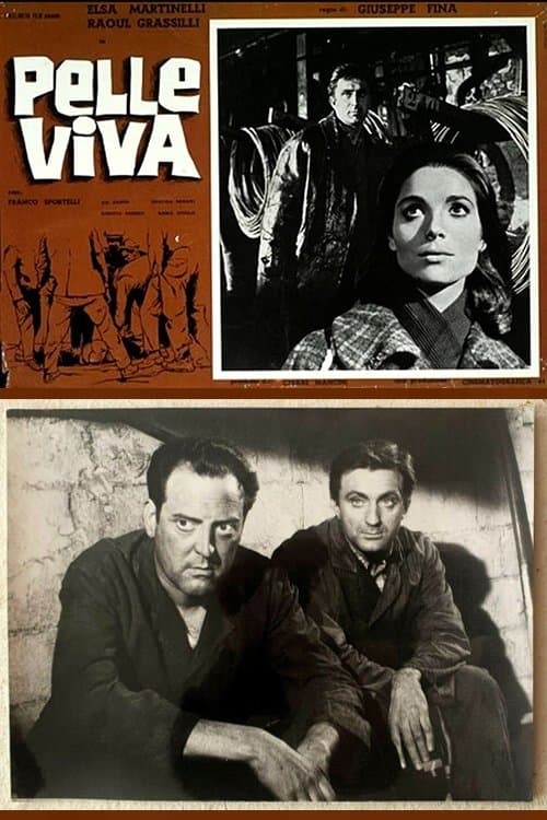 Pelle vivaのポスター