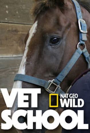 Vet Schoolのポスター