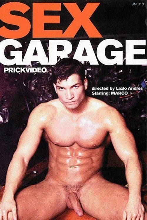 Sex Garageのポスター