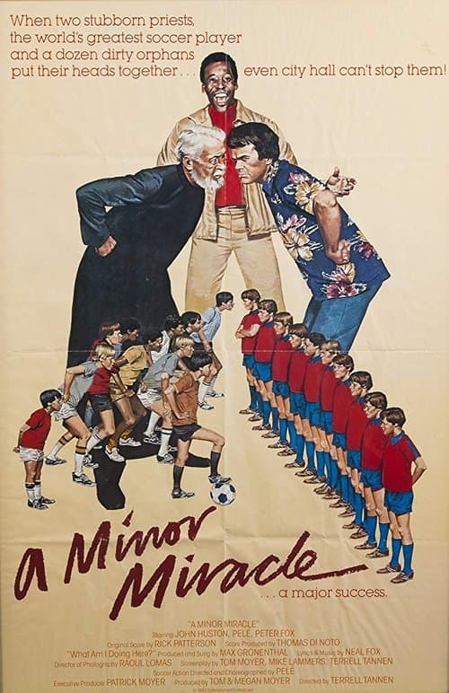A Minor Miracleのポスター