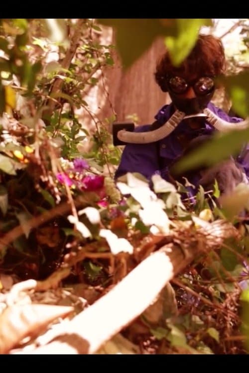 Pasithea's Bloomのポスター