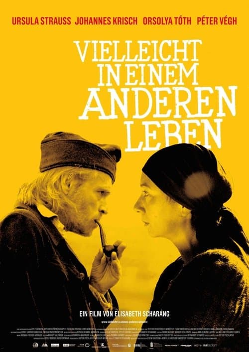 Vielleicht in einem anderen Lebenのポスター