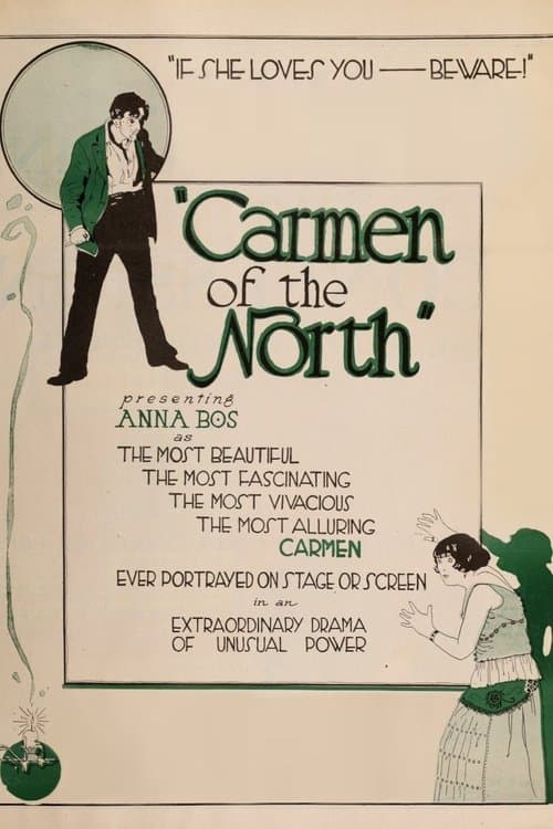 Een Carmen van het Noordenのポスター