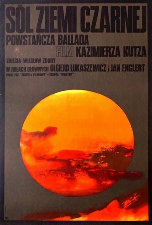 Sól ziemi czarnejのポスター