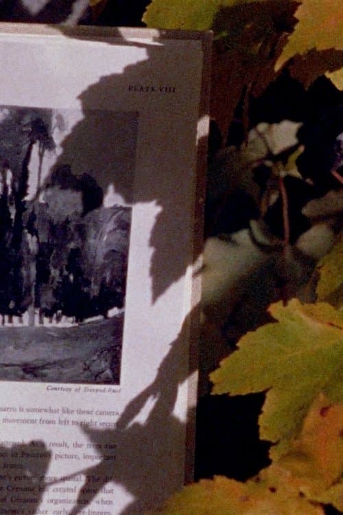 Four Shadowsのポスター