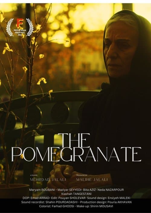 Anaarのポスター