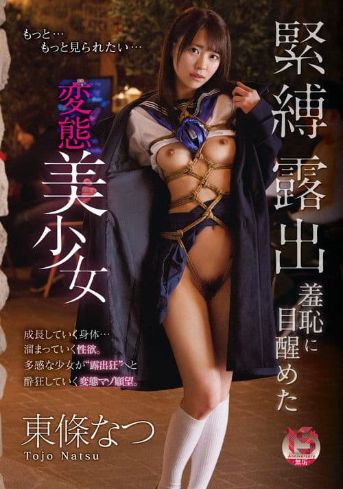 緊縛露出羞恥に目醒めた変態美少女のポスター