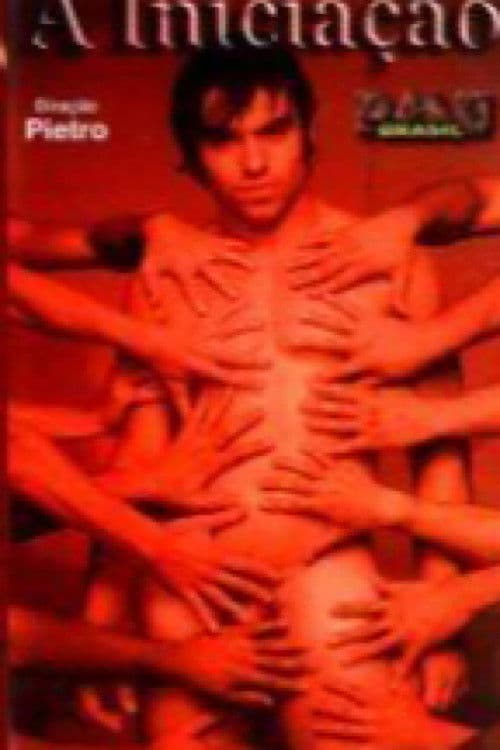 A Iniciaçãoのポスター