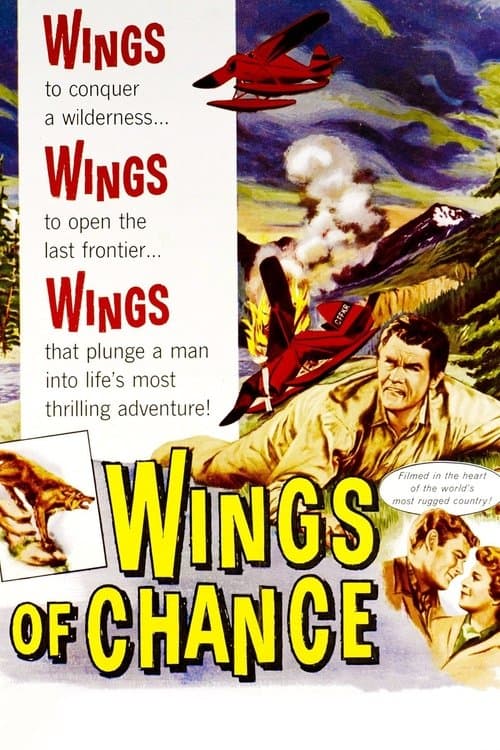 Wings of Chanceのポスター