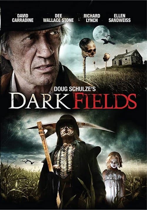 Dark Fieldsのポスター
