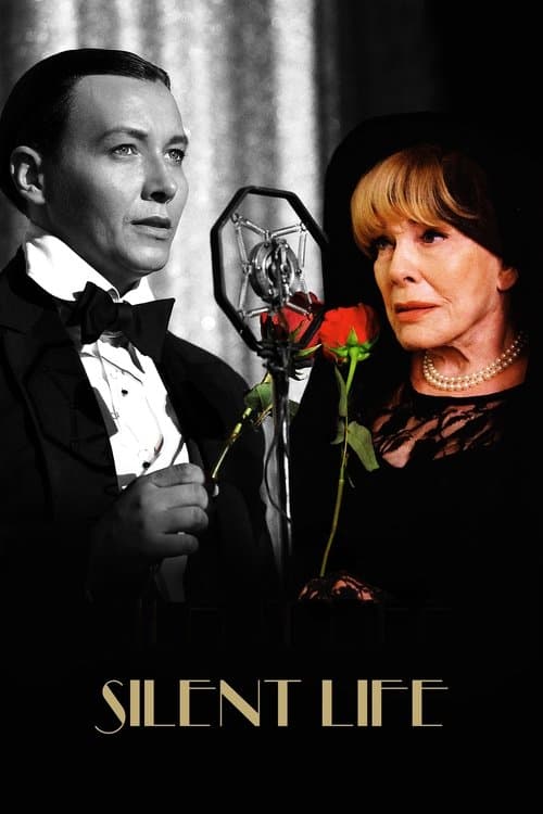 Silent Life: The Story of the Lady in Blackのポスター