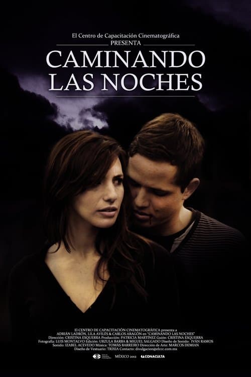 Caminando las nochesのポスター
