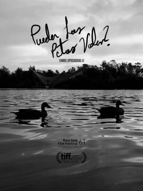 Pueden Los Patos Volar?のポスター