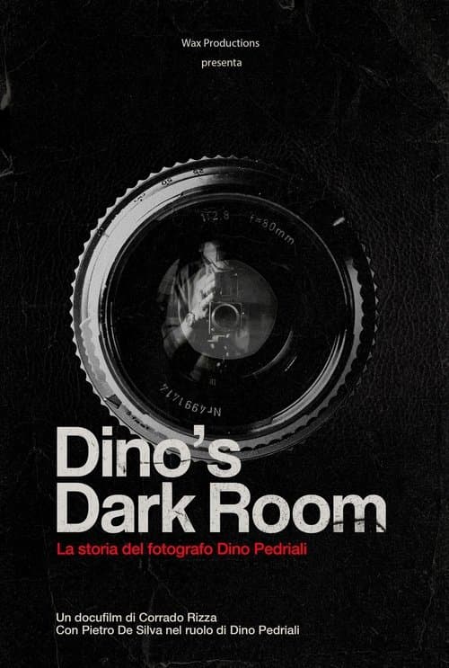 Dino's dark roomのポスター