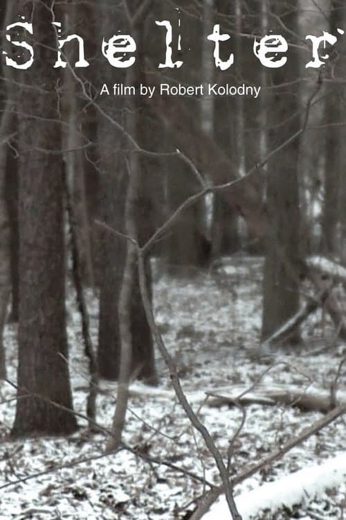 Shelterのポスター