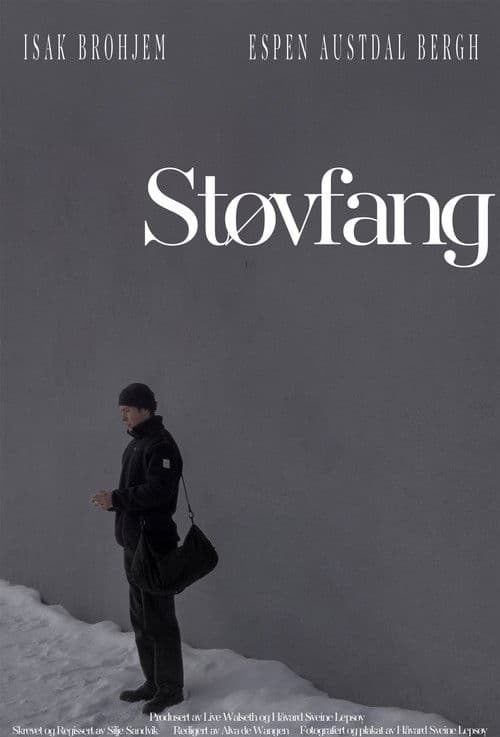Støvfangのポスター
