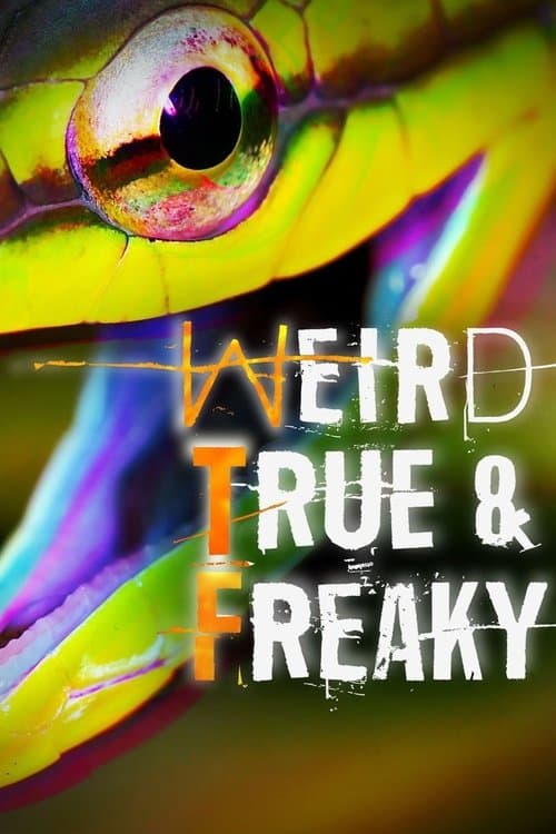 Weird, True & Freakyのポスター