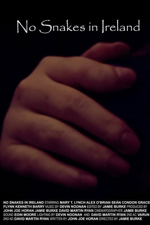 No Snakes in Irelandのポスター