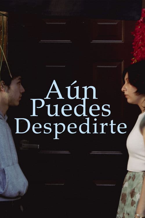 Aún puedes despedirteのポスター