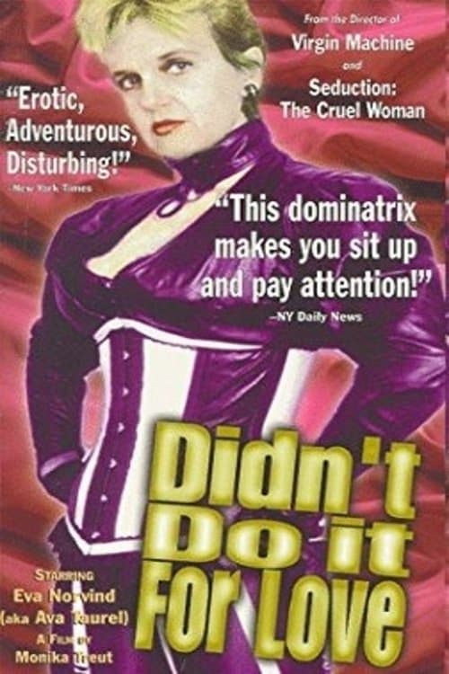 Didn't Do It For Loveのポスター