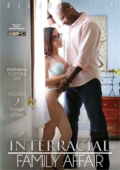 Interracial Family Affairのポスター