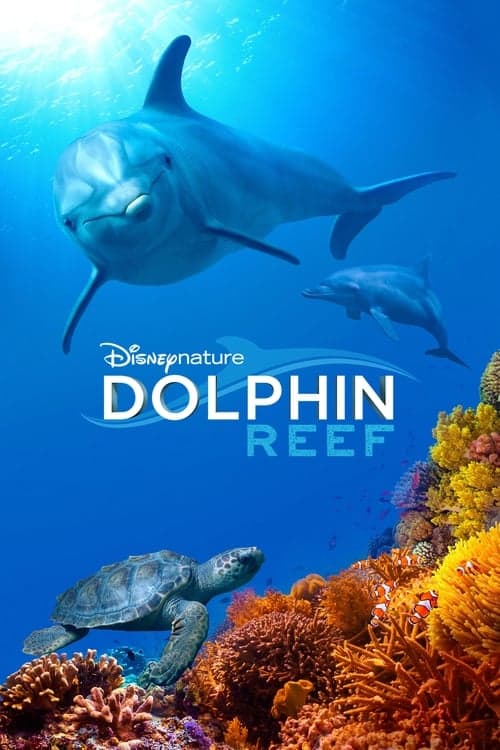 Dolphin Reefのポスター