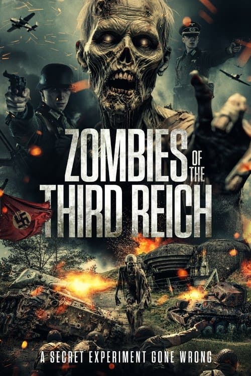 Zombies of the Third Reichのポスター