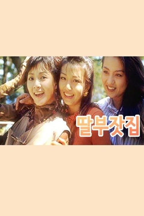 딸부잣집のポスター