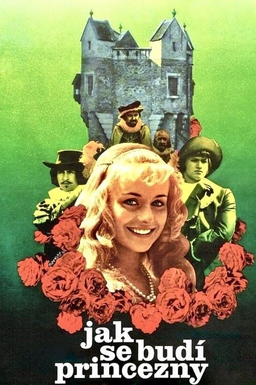 Jak se budí princeznyのポスター