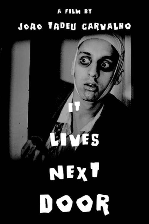 IT LIVES NEXT DOORのポスター